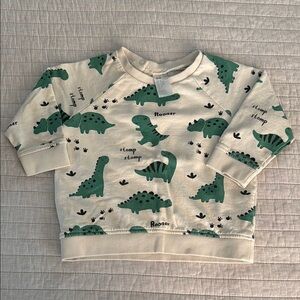 H&M Green and Cream Dinosaur Hoodie Sweatshirt